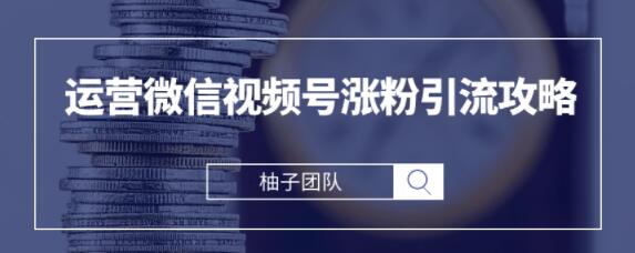 手把手教你运营微信视频号涨粉引流攻略，轻松涨粉10W+【视频课程】