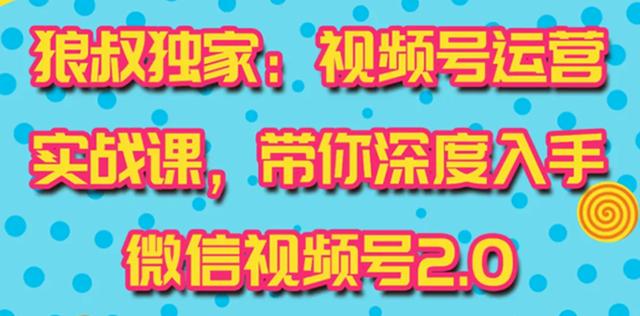 狼叔视频号运营实战课2.0，目前市面上最新最全玩法，快速吸粉吸金（10节视频）