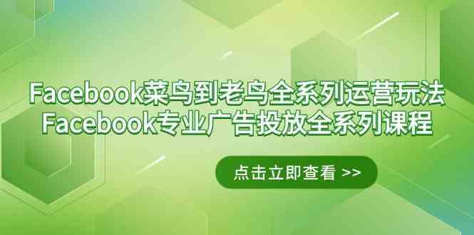 图片[1]-（9065期）Facebook-菜鸟到老鸟全系列运营玩法+Facebook-专业广告投放全系列课程