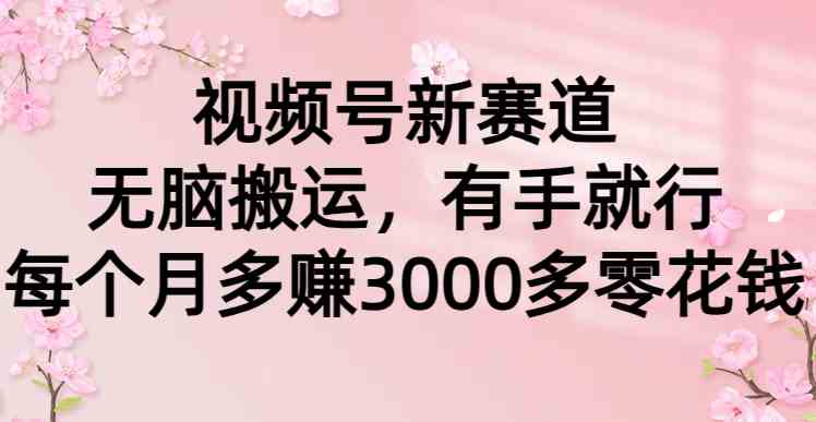 图片[1]-（9278期）视频号新赛道，无脑搬运，有手就行，每个月多赚3000多零花钱
