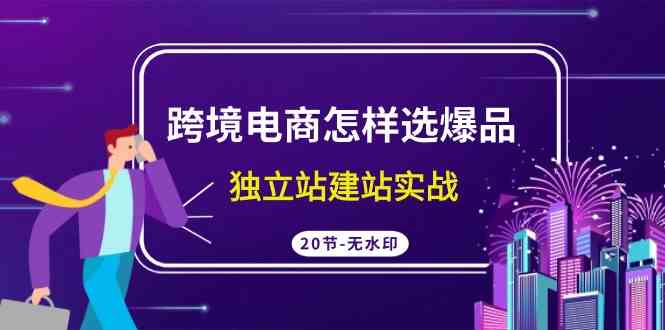 图片[1]-（9369期）跨境电商怎样选爆品，独立站建站实战（20节高清无水印课）