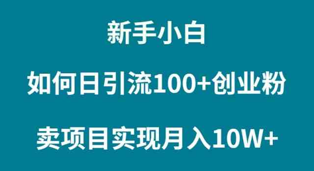 图片[1]-（9556期）新手小白如何通过卖项目实现月入10W+