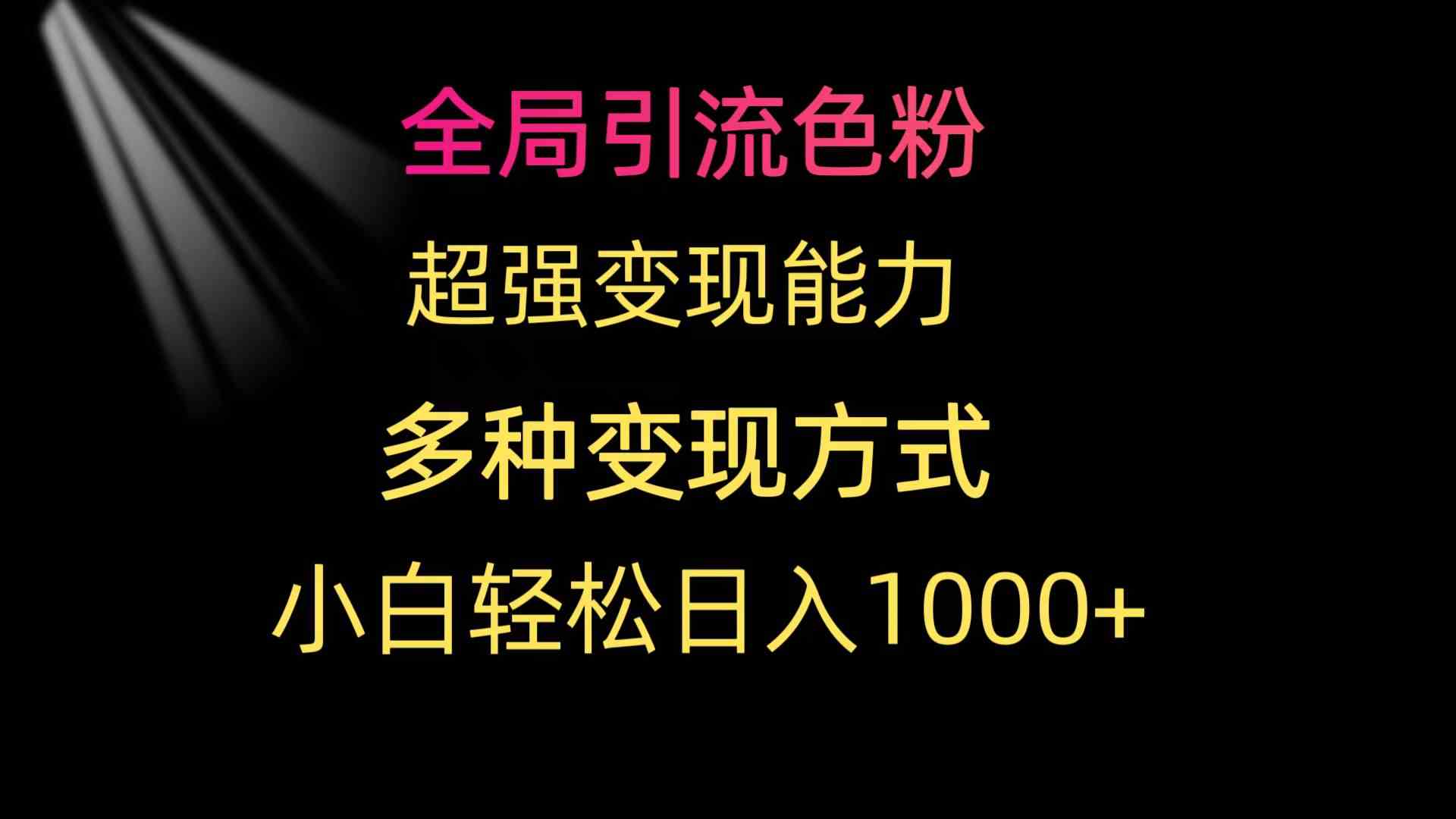 图片[1]-（9680期）全局引流色粉 超强变现能力 多种变现方式 小白轻松日入1000+