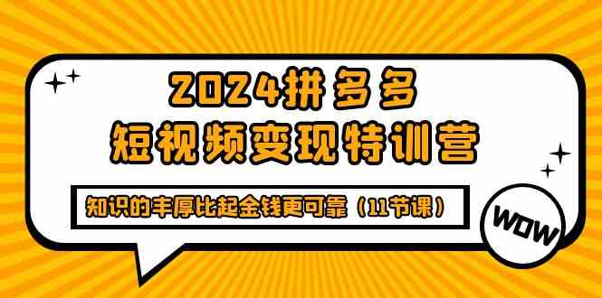 图片[1]-（9817期）2024拼多多短视频变现特训营，知识的丰厚比起金钱更可靠（11节课）