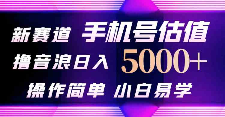 图片[1]-（10154期）抖音不出境直播【手机号估值】最新撸音浪，日入5000+，简单易学，适合…