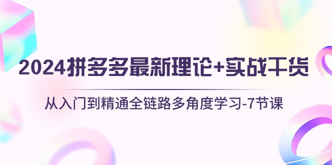图片[1]-（10816期）2024拼多多 最新理论+实战干货，从入门到精通全链路多角度学习-7节课