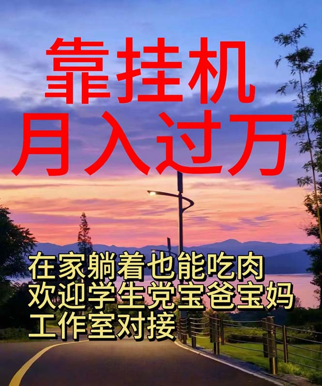 图片[1]-（10838期）靠挂机，日入1000+，躺着也能吃肉，适合宝爸宝妈学生党工作室，电脑手…
