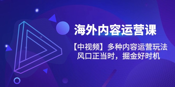 图片[1]-（10833期）海外内容 运营课【中视频】多种内容运营玩法 风口正当时 掘金好时机-101节