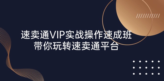 图片[1]-（10935期）速卖通 VIP实战操作-速成班，带你玩转速卖通平台（23节）