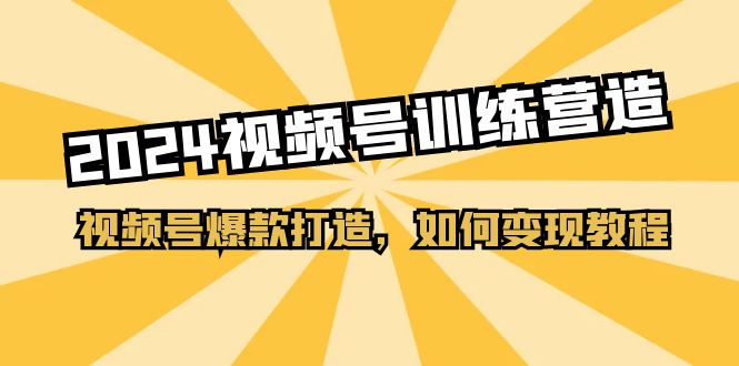 （11135期）2024视频号训练营，视频号爆款打造，如何变现教程（20节课）