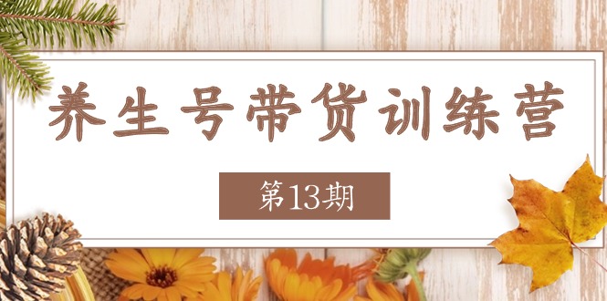 图片[1]-（11275期）养生号-带货训练营【第13期】收益更稳定的玩法，让你带货收益爆炸