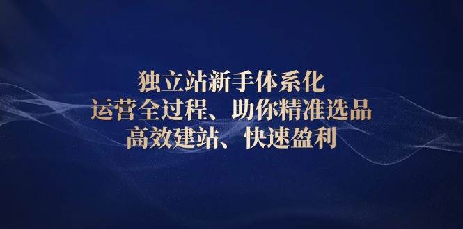 图片[1]-（13914期）独立站新手体系化 运营全过程，助你精准选品、高效建站、快速盈利