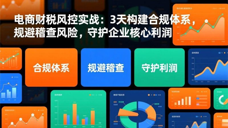 （17197期）电商财税风控实战：3天构建合规体系，规避稽查风险，守护企业核心利润-逐风项目库